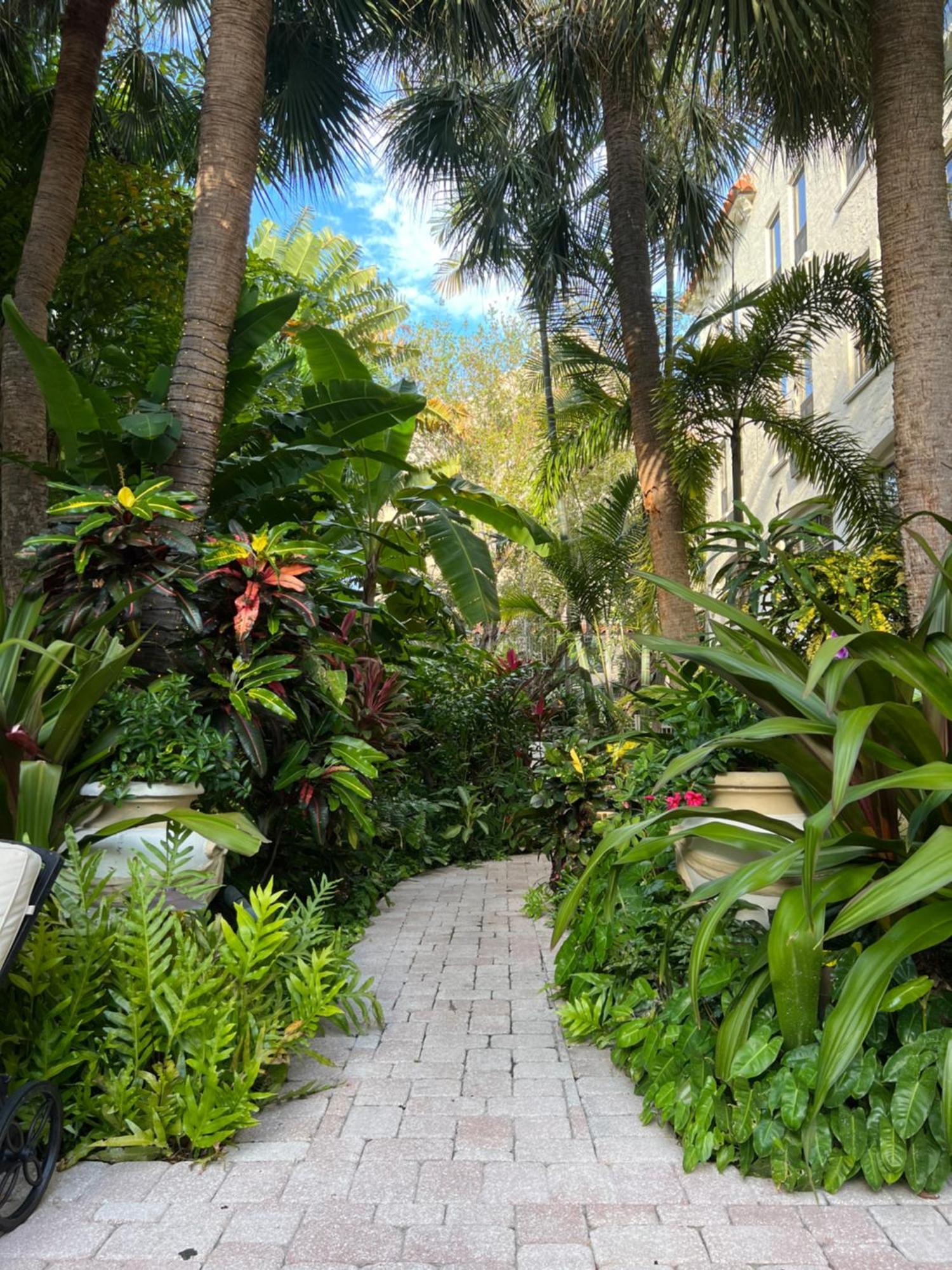 Orchid Suites - Historic Palm Beach Hotel Condominium Exteriör bild