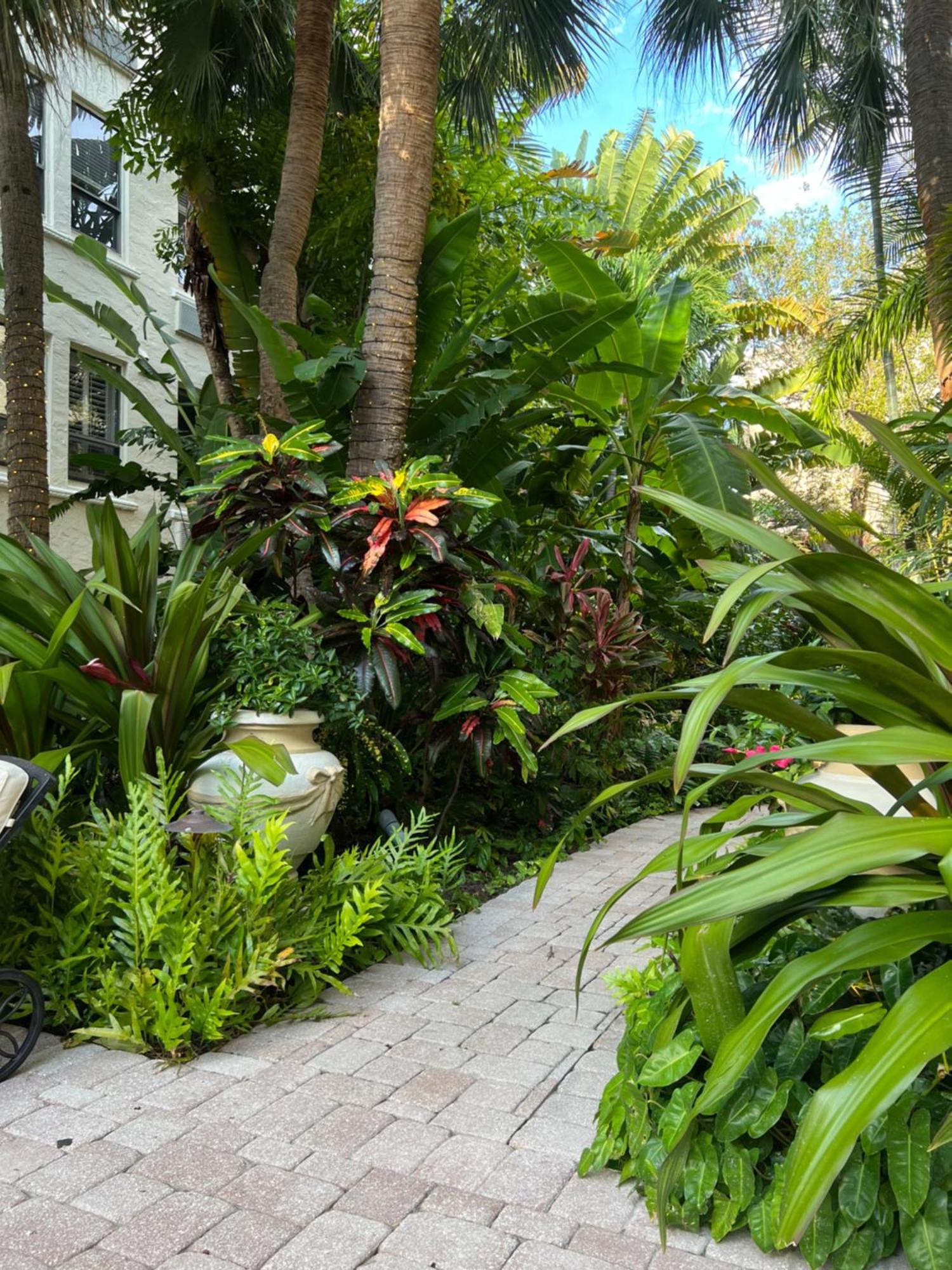 Orchid Suites - Historic Palm Beach Hotel Condominium Exteriör bild