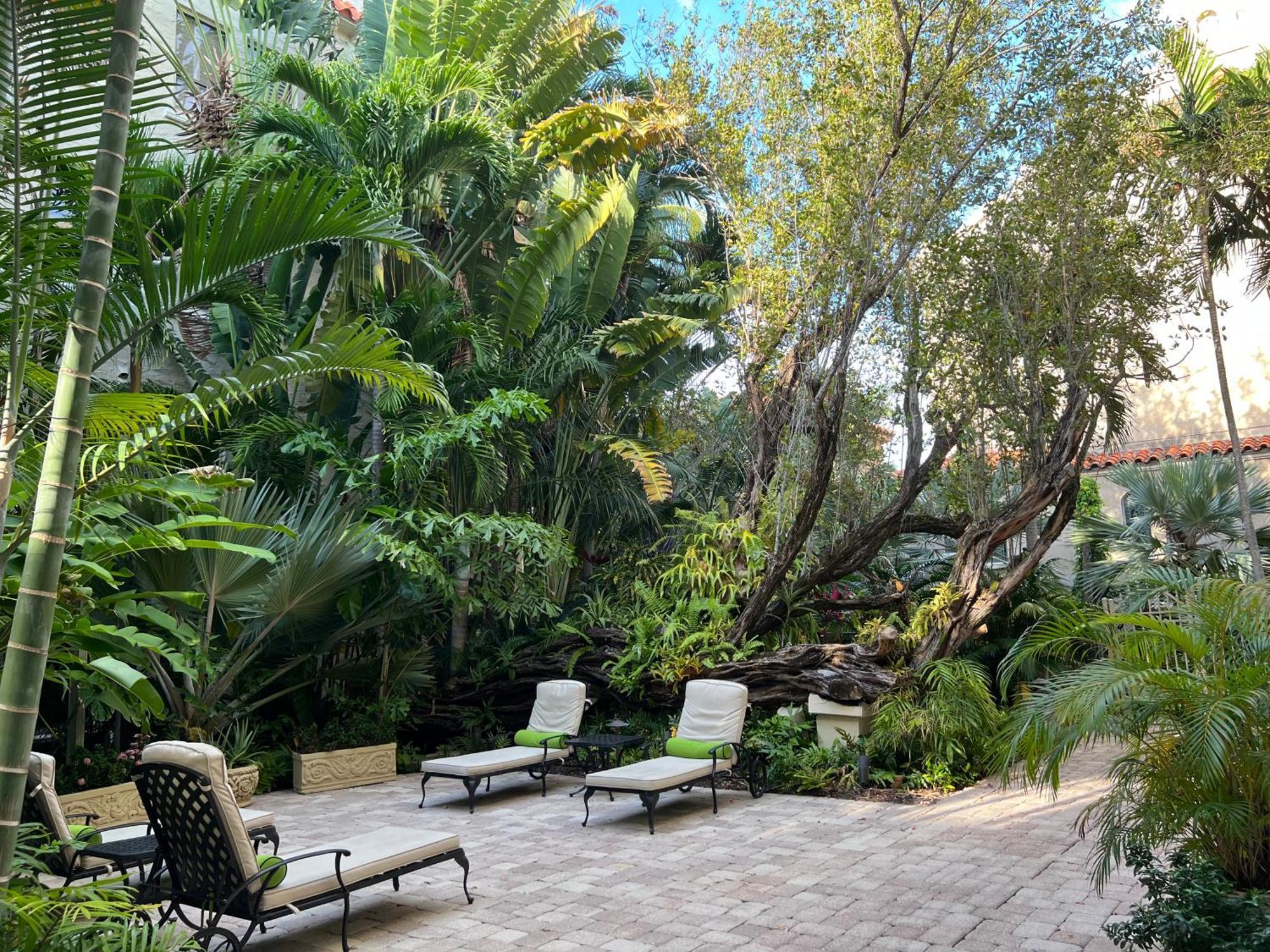 Orchid Suites - Historic Palm Beach Hotel Condominium Exteriör bild