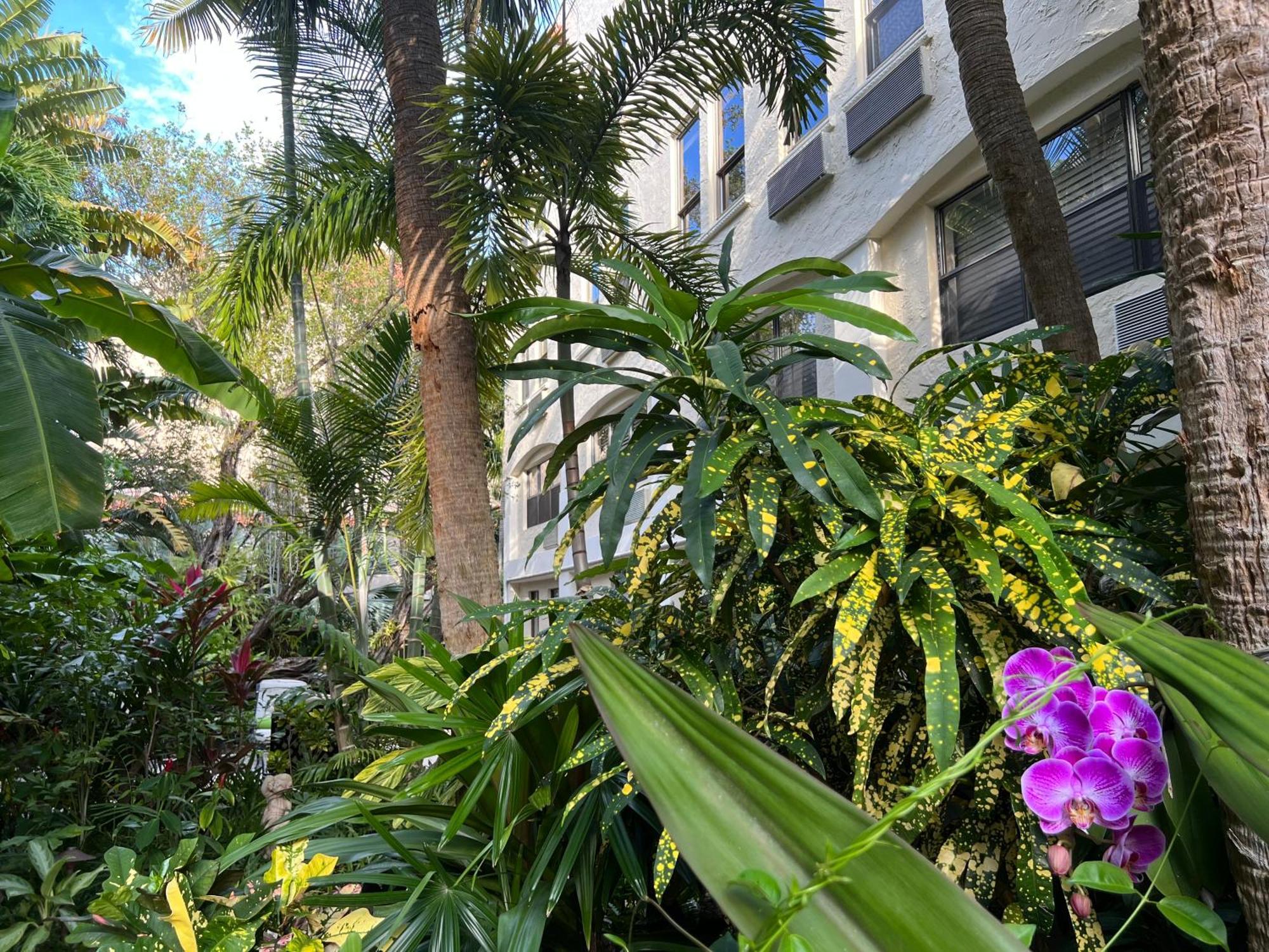 Orchid Suites - Historic Palm Beach Hotel Condominium Exteriör bild